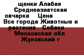 щенки Алабая (Среднеазиатская овчарка) › Цена ­ 15 000 - Все города Животные и растения » Собаки   . Московская обл.,Жуковский г.